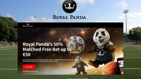 Royal Panda betting Website review