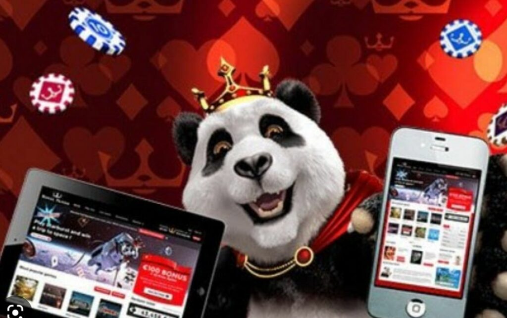 Royal Panda betting site and app overview