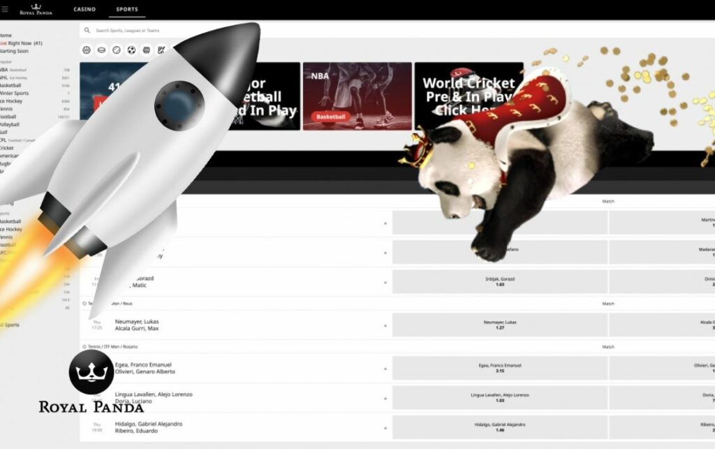 Royal Panda sports betting site review